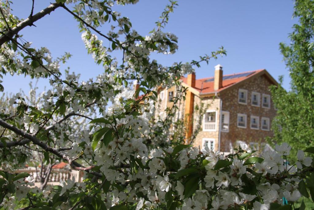 Le Palais Des Cerisiers Hotel Azrou Exterior photo