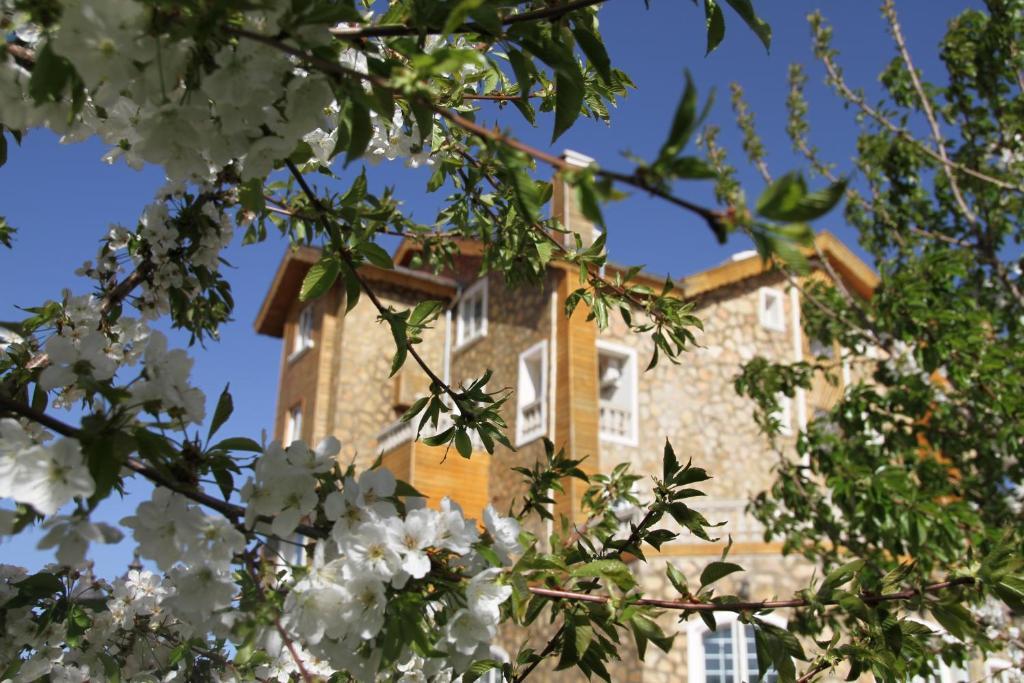 Le Palais Des Cerisiers Hotel Azrou Exterior photo